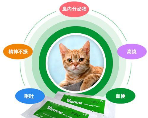 如何正确消毒宠物用品中的猫瘟病毒（了解猫瘟病毒传播途径）