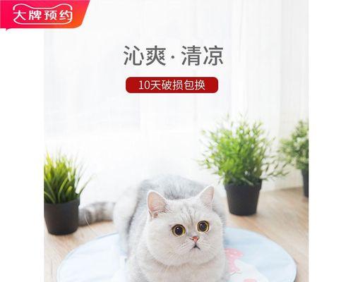 宠物猫咬人怎么办（处理猫咬伤的正确方式）