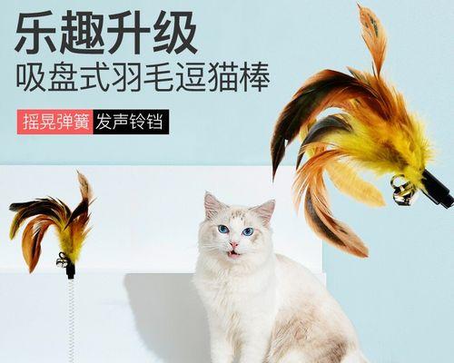 宠物猫咬人怎么办（处理猫咬伤的正确方式）