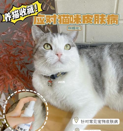 猫咪皮肤瘙痒原因分析（探究猫咪皮肤瘙痒的成因及治疗方法）