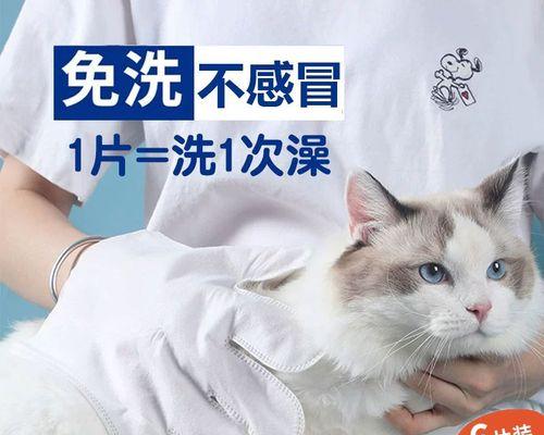 小猫三个月大可以洗澡吗（探究小猫洗澡的时机）