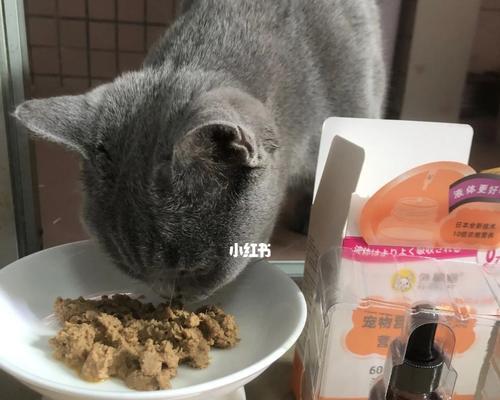 如何让宠物猫在新环境不拉屎（以小猫换环境的问题与解决方法）