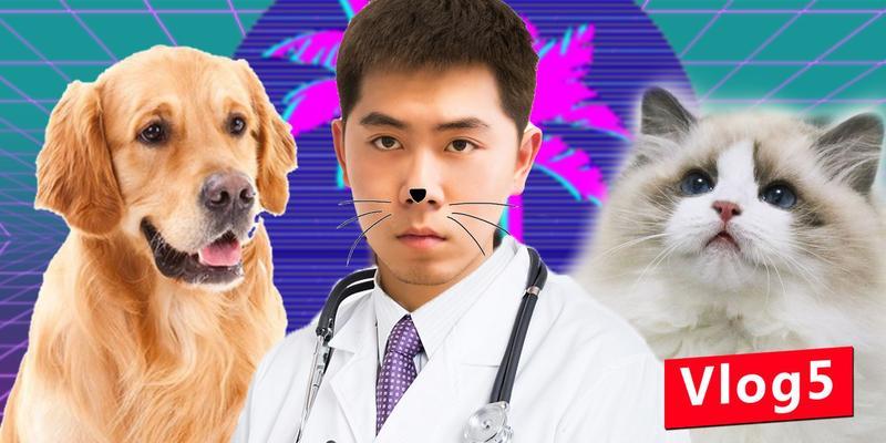 猫咪咬伤致狂犬病的可怕后果（小心）