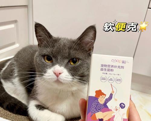 宠物猫咪为什么需要吃益生菌（猫咪肠道健康）