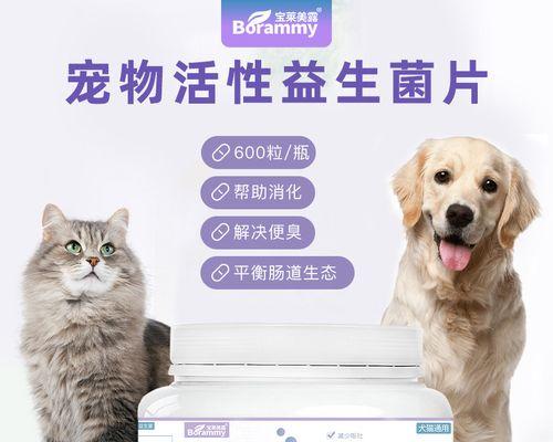 宠物猫咪为什么需要吃益生菌（猫咪肠道健康）