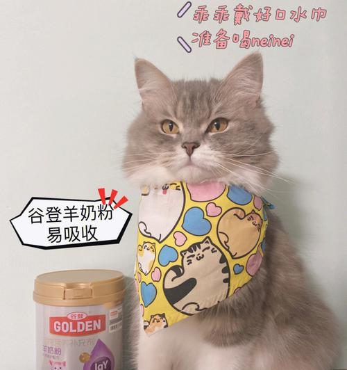 猫咪喝羊奶粉的时间长短详解（宠物猫咪羊奶粉喝多久合适）