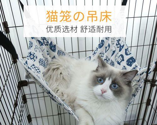 如何了解猫咪的睡眠习惯（宠物猫的睡眠时间）