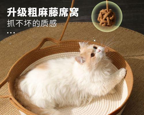 如何了解猫咪的睡眠习惯（宠物猫的睡眠时间）