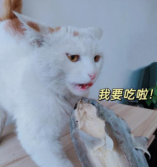 猫咪饮食宝典——鸡胸肉的营养与用量（以宠物为主的科学喂养指南）