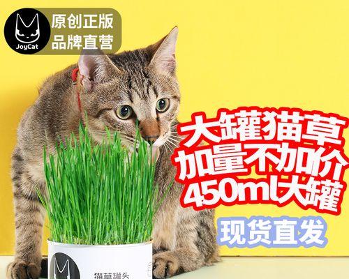 猫草对猫咪的健康有何影响（猫草对猫咪的健康有何影响）