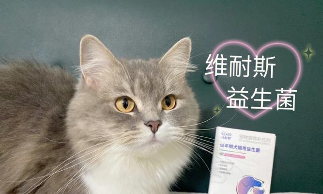 猫咪益生菌，这些牌子最好（宠物健康无忧）