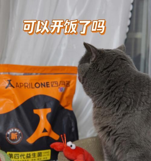 猫咪益生菌破坏菌群的神奇效果（以宠物为主）