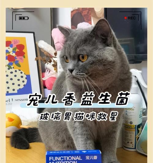 为您的宠物加强免疫力——猫咪益生菌食用指南（如何正确地给猫咪补充益生菌）