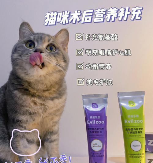 小心过度喂食猫咪营养膏（多吃不一定好）