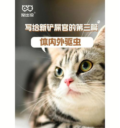 猫咪驱虫全攻略（以宠物为主）