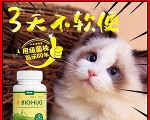 猫咪的健康利器——益生菌软膏（用益生菌软膏呵护宠物健康）