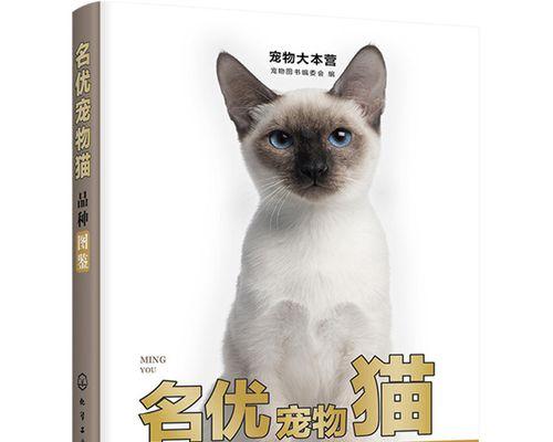 揭秘猫咪怀孕的秘密，关注猫妈妈的保健和喂养（揭秘猫咪怀孕的秘密）