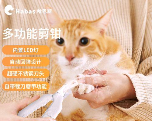 猫咪指甲的管理与修剪（让你的爱宠健康又美丽）