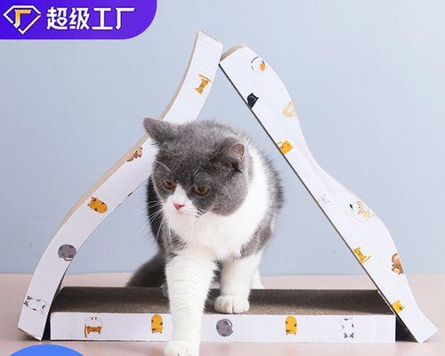 如何应对猫咪爪子的砸击（以宠物为主）