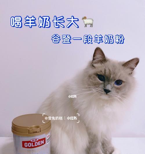 猫咪专用羊奶粉喝的最佳时间（给宠物健康提供有效保障）