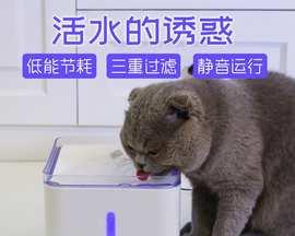 猫咪的健康从喝水开始（为什么猫咪需要喝水）