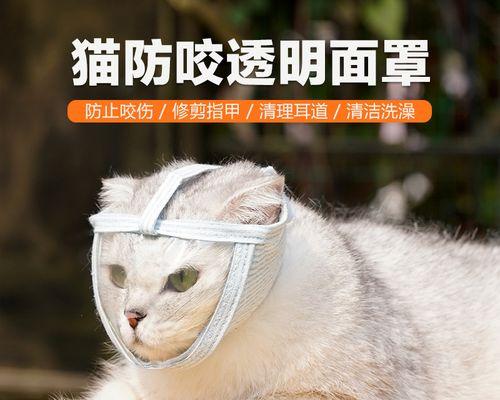 猫咪咬人怎么回事（探究猫咪突然咬人的原因）