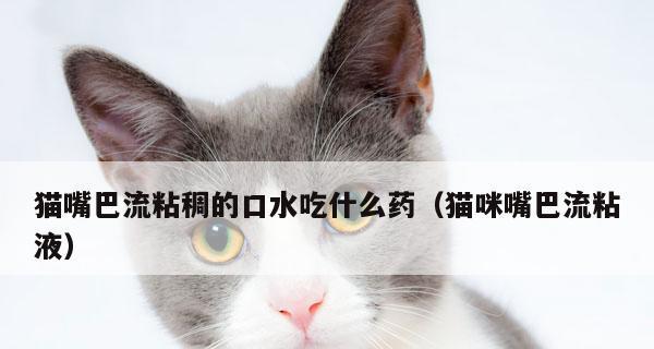 猫咪嘴巴粘液发黄的原因和解决方法（宠物护理必读）