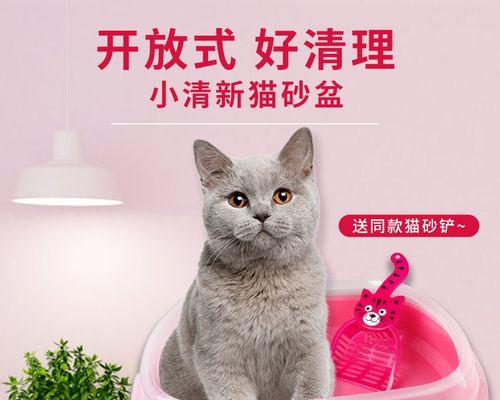 猫咪坐猫砂盆却不拉（了解猫咪的习性）