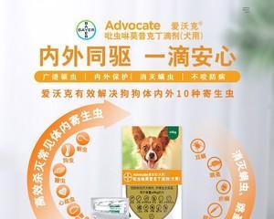 如何正确给小狗驱虫药（关于小狗驱虫药的注意事项和正确使用方法）