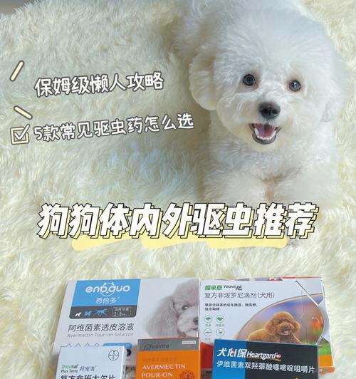 犬猫驱虫药全面解析（以宠物为主）