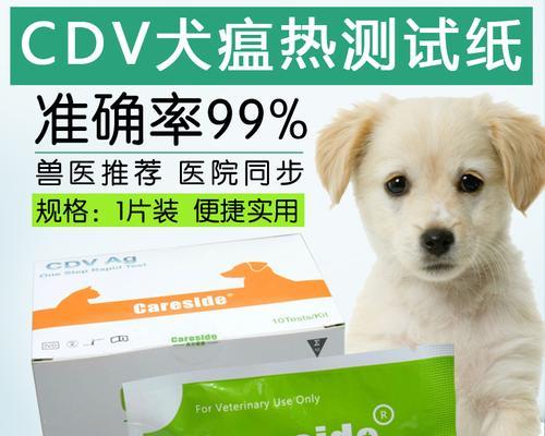 宠物犬瘟热预防，从试纸取样开始（以犬瘟热试纸取样为基础）