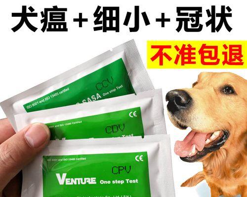 宠物犬瘟热预防，从试纸取样开始（以犬瘟热试纸取样为基础）