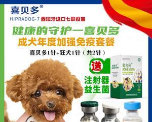 犬瘟热晚期治疗——药物治疗方案（以宠物为主）