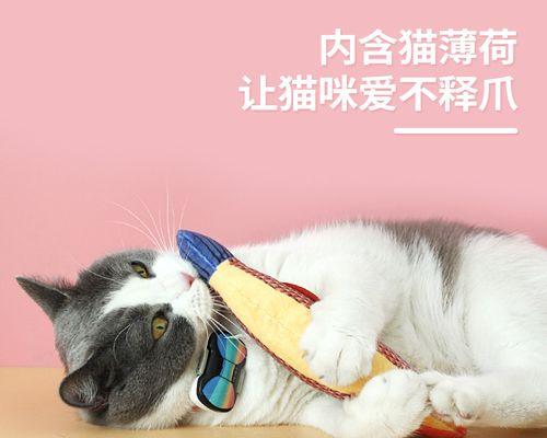 让猫咪昏迷的5种方法（了解风险）