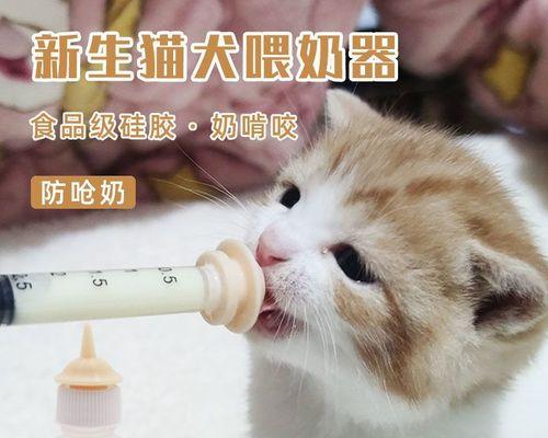 如何为你的猫咪准备喂养时需要的药品（宠物喂养药品的准备与使用）