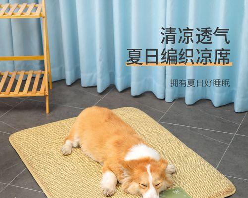 夏季如何给爱犬消暑（宠物狗狗如何应对炎热夏季）