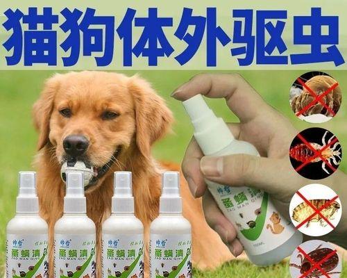 小狗打虫药正确使用指南（宠物健康护理必备）