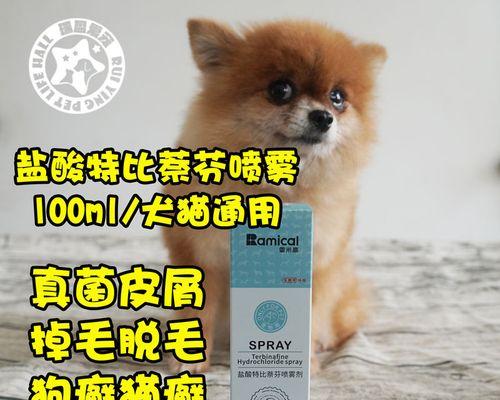 小狗皮肤病药物治疗指南（全面解析宠物皮肤病治疗方案）