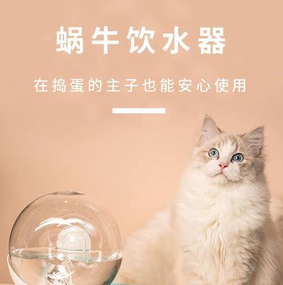 怀孕了猫猫怎么办（猫咪怀孕的注意事项及后续处理方法）