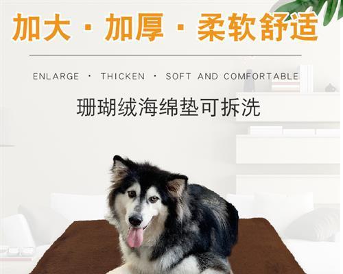 金毛犬的发痒问题及解决方法（宠物爱护指南）