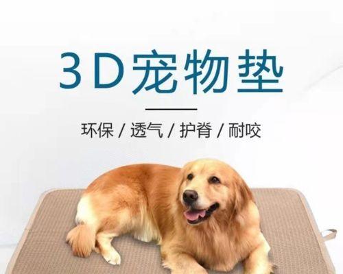 金毛犬怀孕期间药物管理（宠物用药的注意事项）