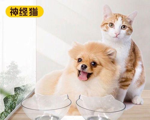 猫吃了狗食物怎么办？