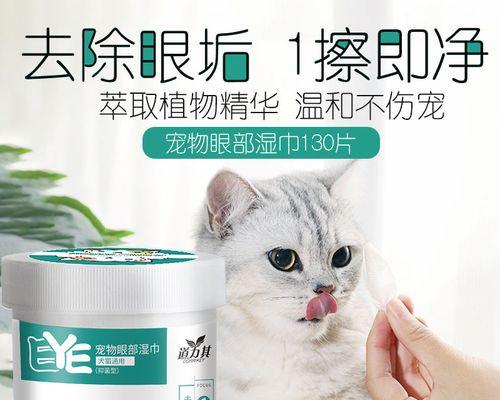 怎样处理宠物猫被打后的行为问题（宠物猫遭受殴打后如何照顾和治疗）