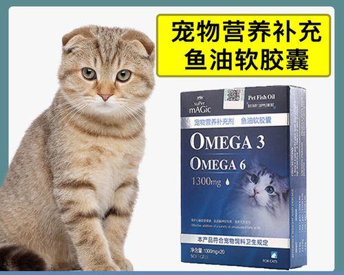 怎样处理宠物猫被打后的行为问题（宠物猫遭受殴打后如何照顾和治疗）