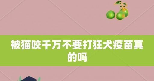 猫狂犬病（预防措施、症状、治疗方法详解）