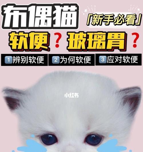 宠物猫拉软便的原因及解决方法（小心）