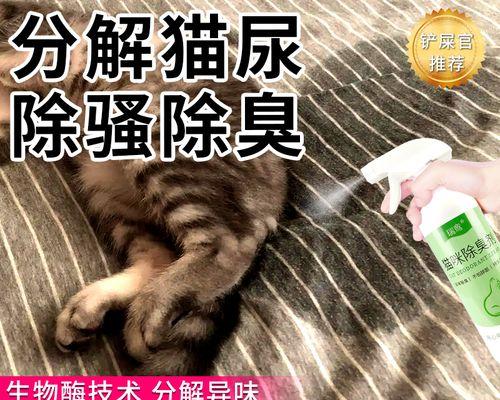 如何正确处理宠物猫拉屎的猫沙（从清理到妥善处理）