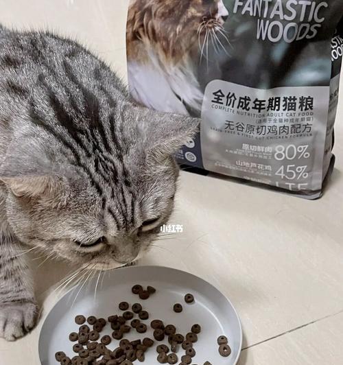 猫拉稀后的饮食指南（猫咪健康的关键在于正确的饮食调理）