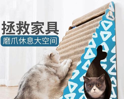 猫咪挠身上，是什么原因（解读宠物猫咪挠身上的8大原因及预防方法）