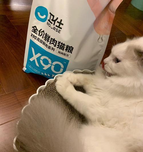 猫粮中的粗蛋白，宠物健康的关键（探究猫粮中的粗蛋白含量对猫咪健康的影响）